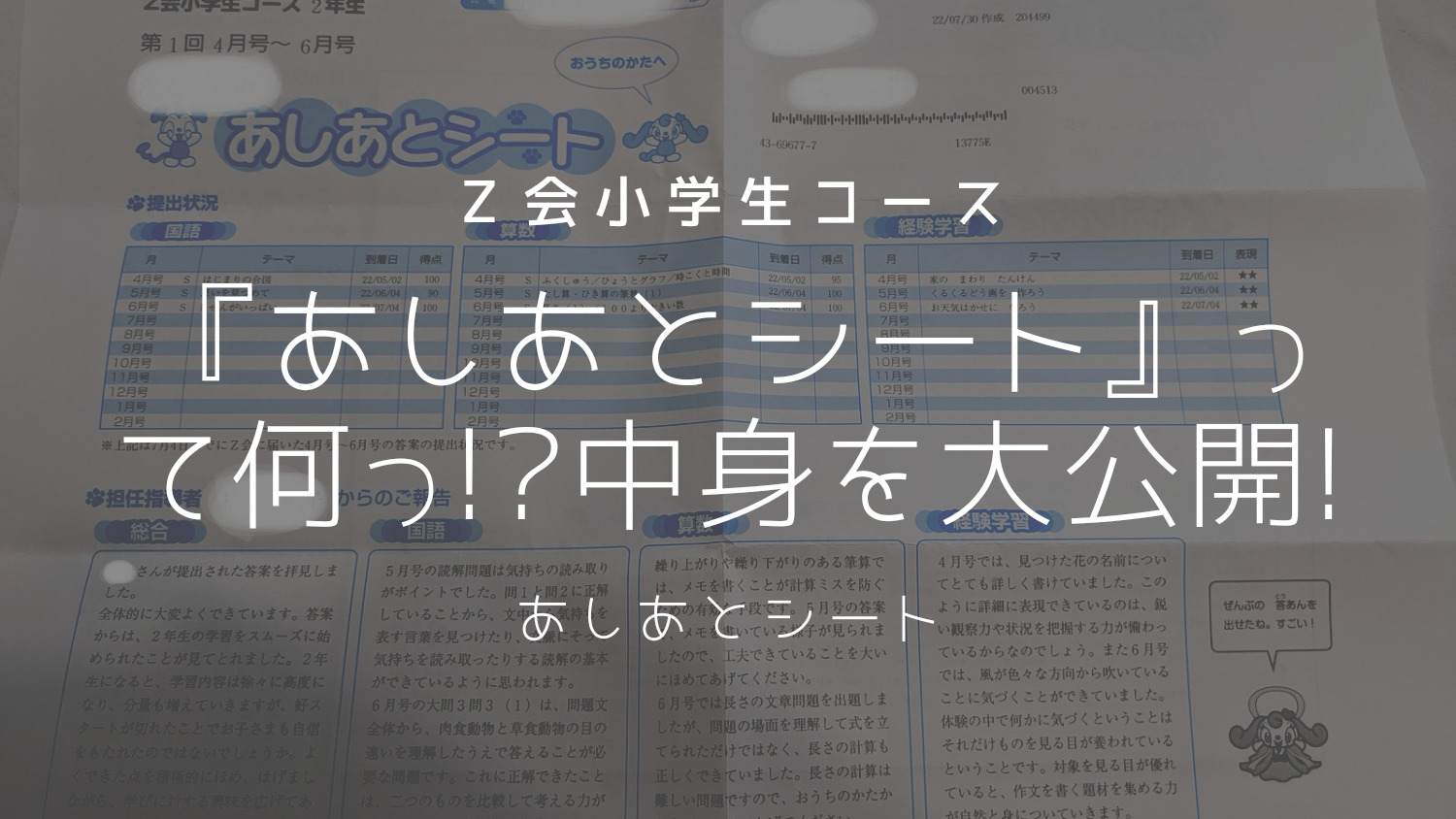 レビュー】Z会小学生コース2年生、あしあとシートの中身を公開
